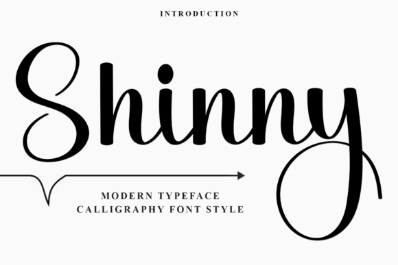 Finding Your Brand Voice with the Shinny Font