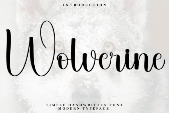Reviewing the Wolverine Script Font for Modern Campaigns
