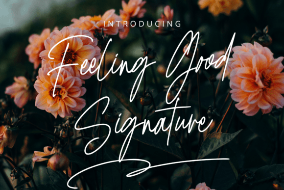The Feeling Good Signature Font for Elegant Business Branding